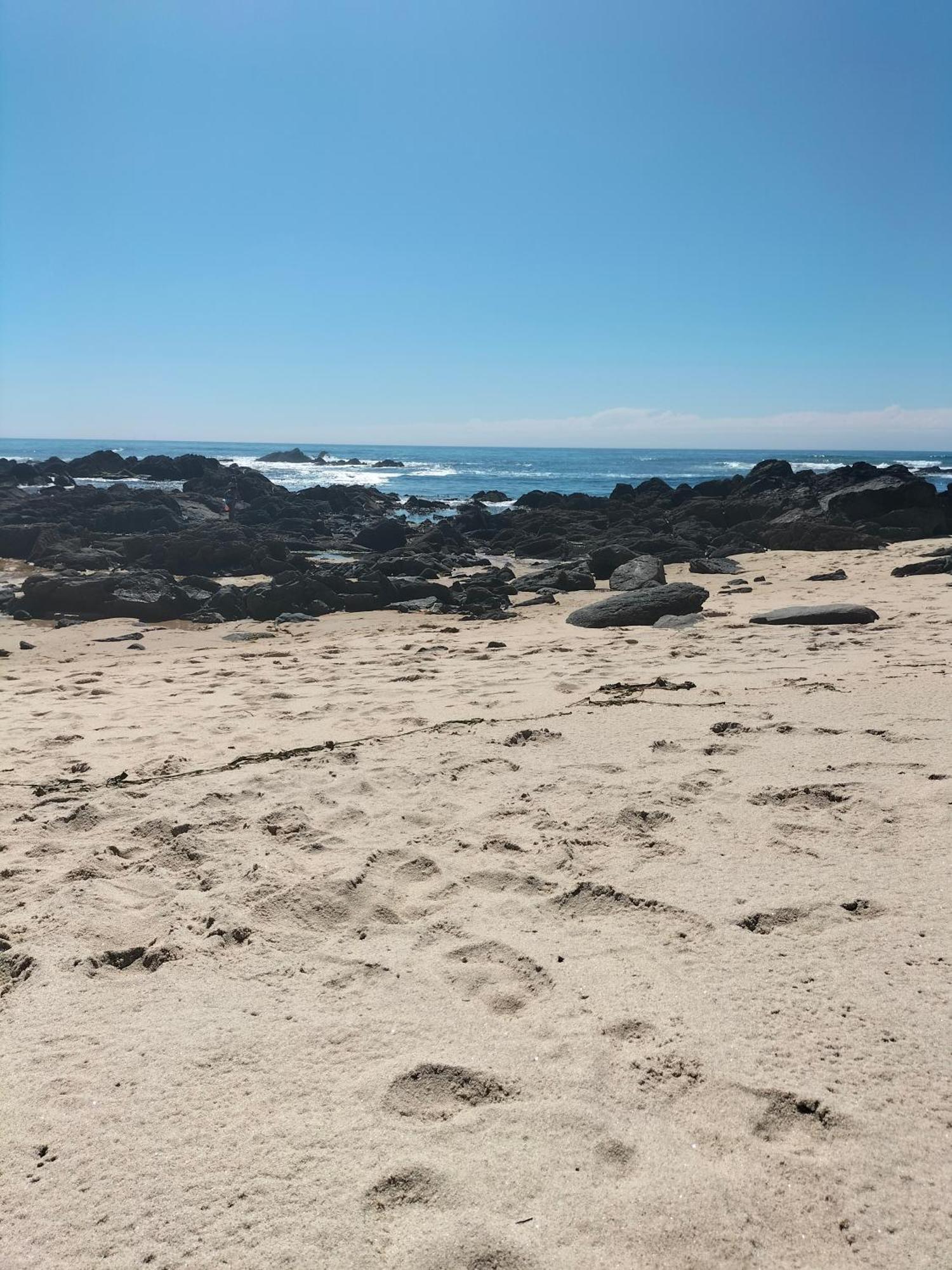 Willa Casa De Madeira E Pedra Afife Zewnętrze zdjęcie